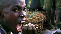 Picture of the movie Darwin's Nightmare